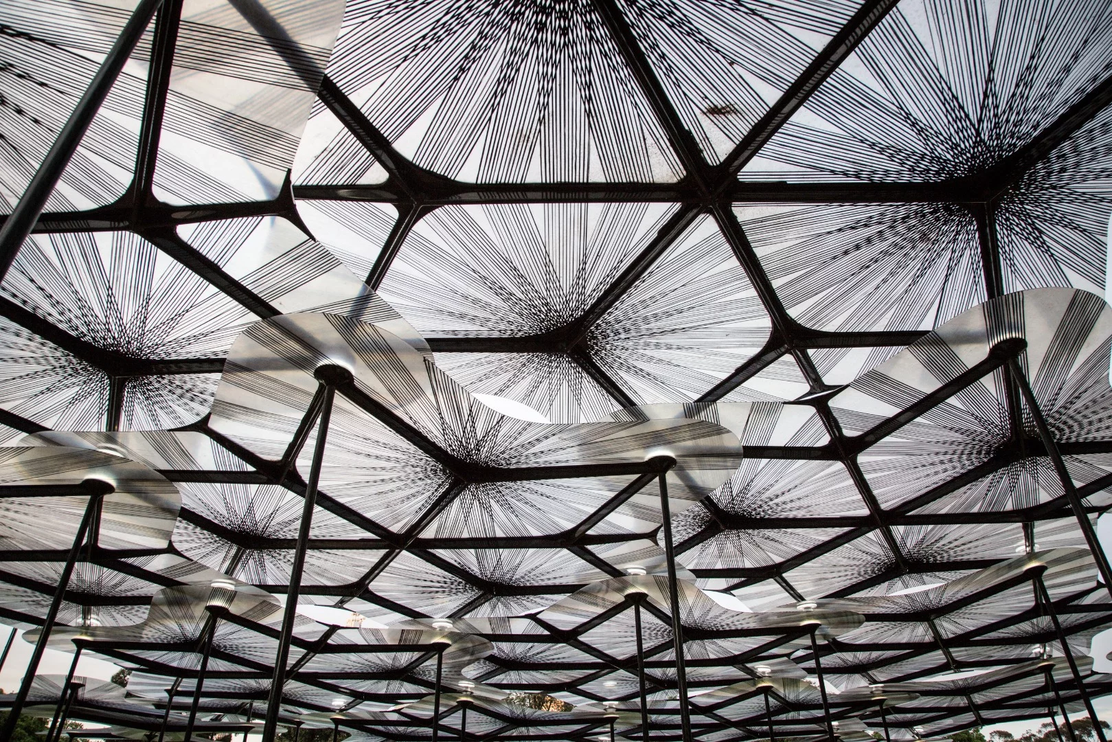 Very fine, fishing line-thin strands of carbon fiber sprawl outwards from the center of each petal all the way to the edges, affording them the extra stiffness needed to maintain their shape