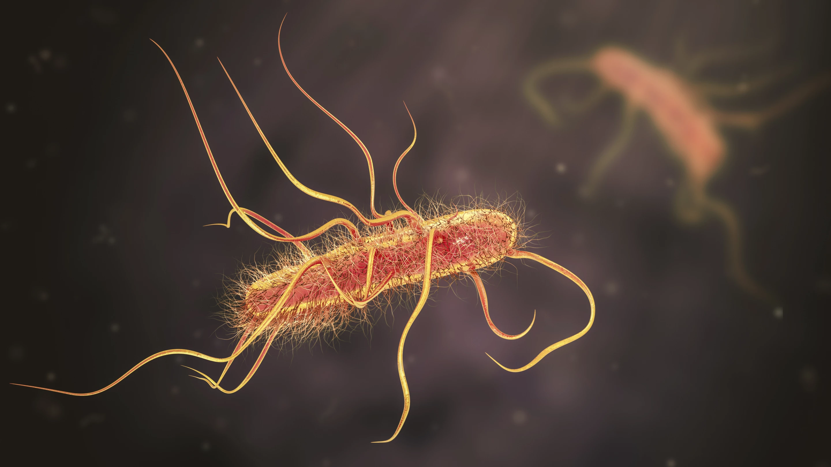 Researchers have engineered a harmless strain of gut bacteria to produce a key drug used to treat Parkinson's disease patients