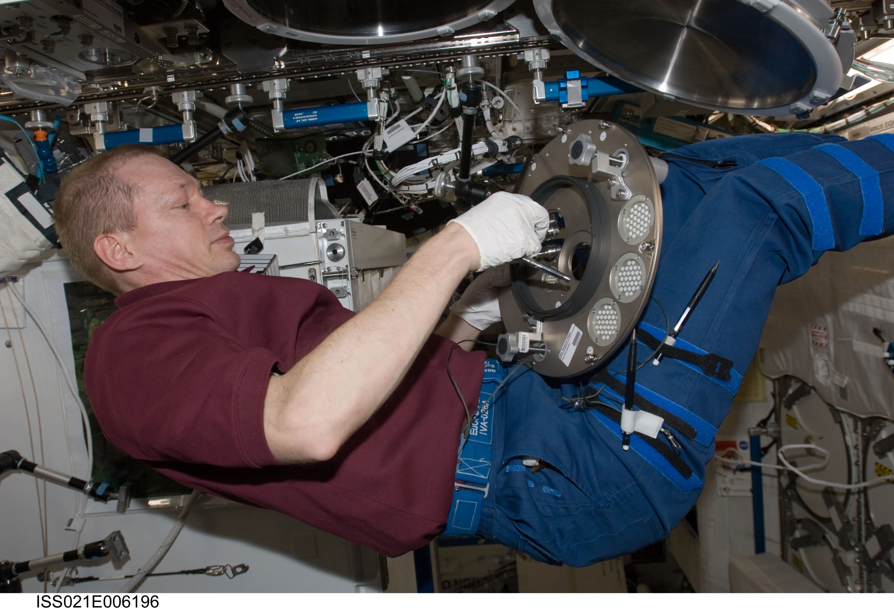 Frank De Winne works with Materials Science Laboratory (Image: ESA)