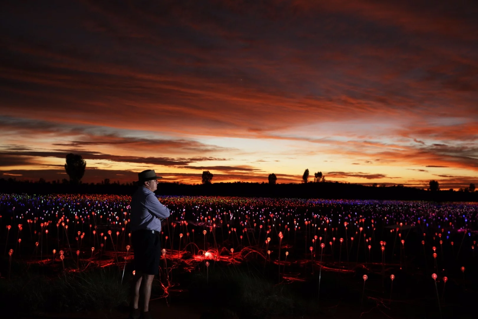 Field of Light was conceived by British artist Bruce Munro