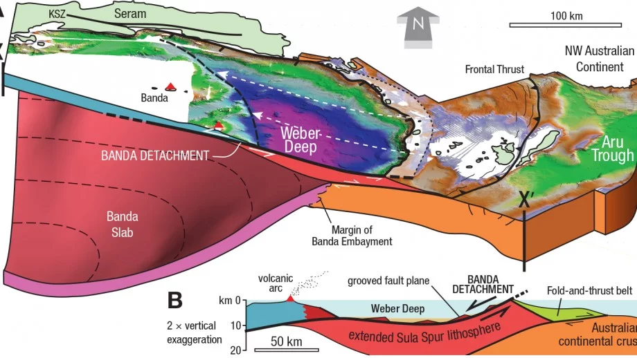 An illustrated cross-section of the Banda arc
