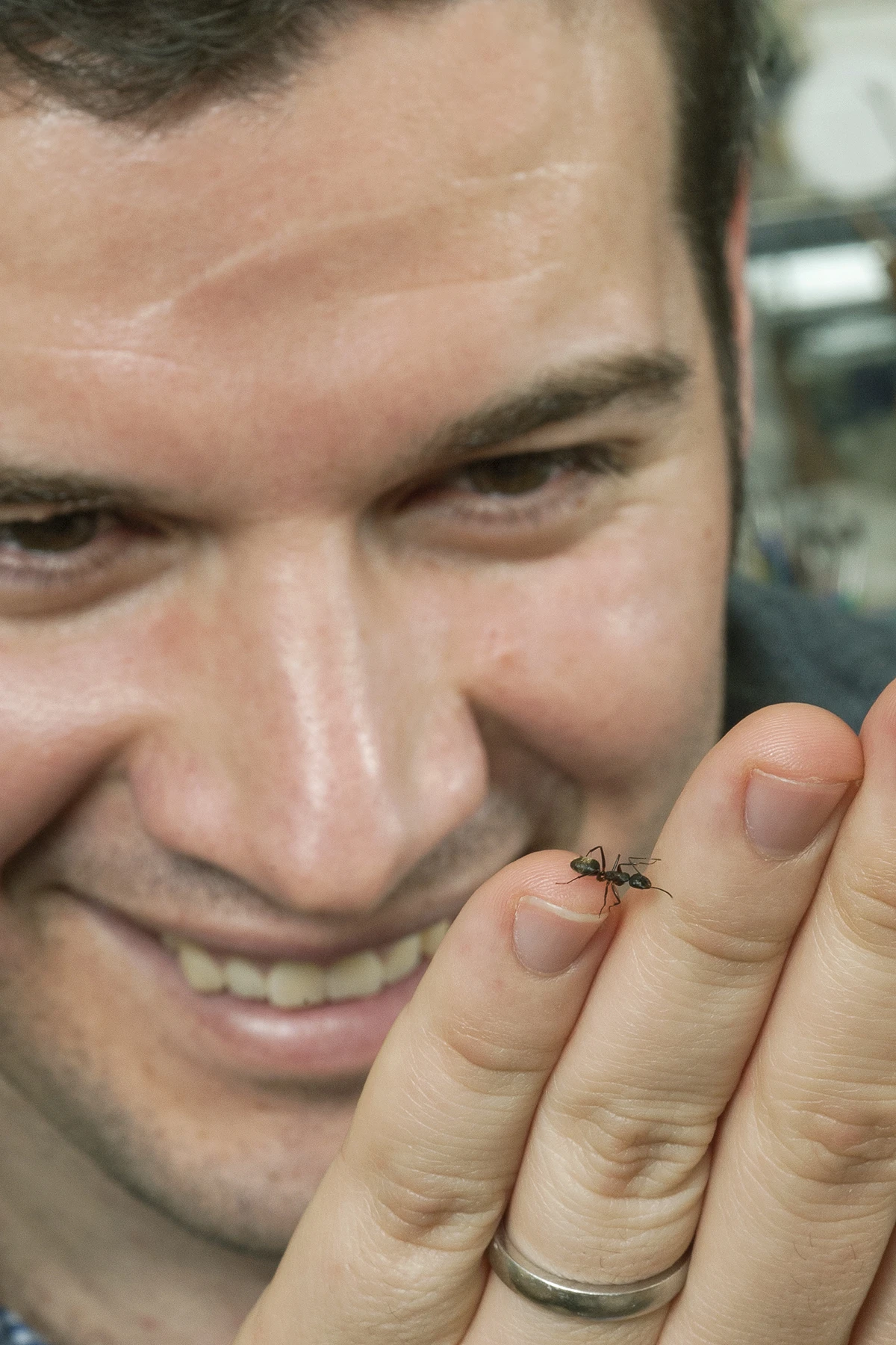 Ohio State's Carlos Castro, with an ant similar to those used in the study (Photo: The Ohio State University)