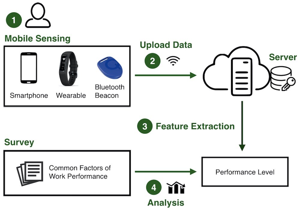 A diagram of the system