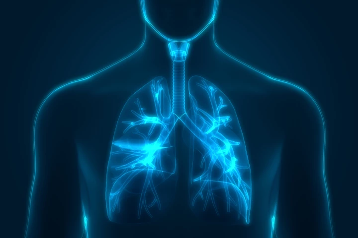 A new study has shown that training the breathing muscles through high-resistance exercises can improve exercise tolerance in middle-aged and older adults