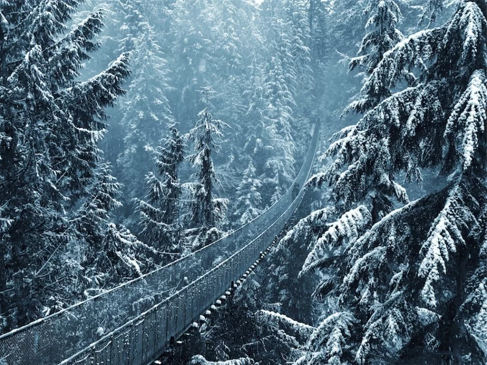 Honorable mention in the landscape category of the 2018 iPhone Photography Awards