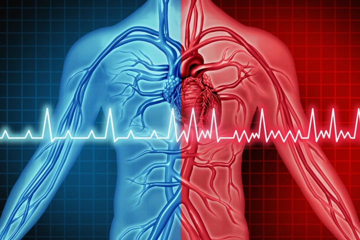 A little over half of people with atrial fibrillation survived to 10 years