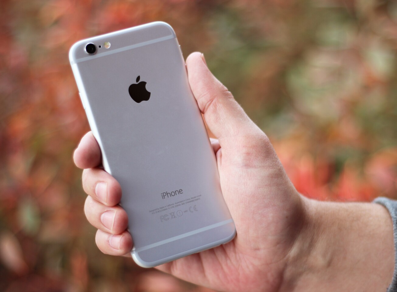 The gorgeous back of the iPhone 6 (Photo: Will Shanklin/Gizmag.com)
