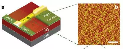 The proton-conducting transistor (left) and a close-up of its chitosan fibers (right) (Image: University of Washington)