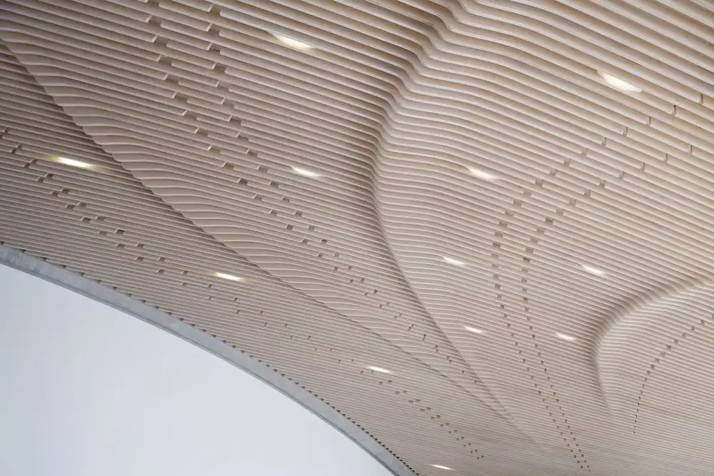 Villa Ypsilon's intricate ceiling