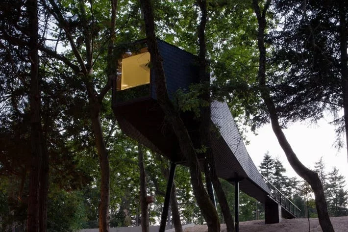 A wooden walkway leads to the Tree Snake Houses, by RA Architectural and Design Studio, which are made from mostly natural and wooden materials and were prefabricated off site