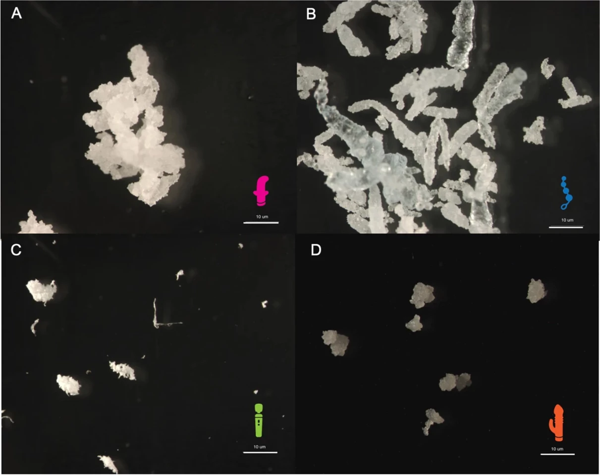 Sex Toy microplastic microscope images all scale bars read 10 µm. A Anal Toy B Beads C External Vibrator D Dual Vibrator
