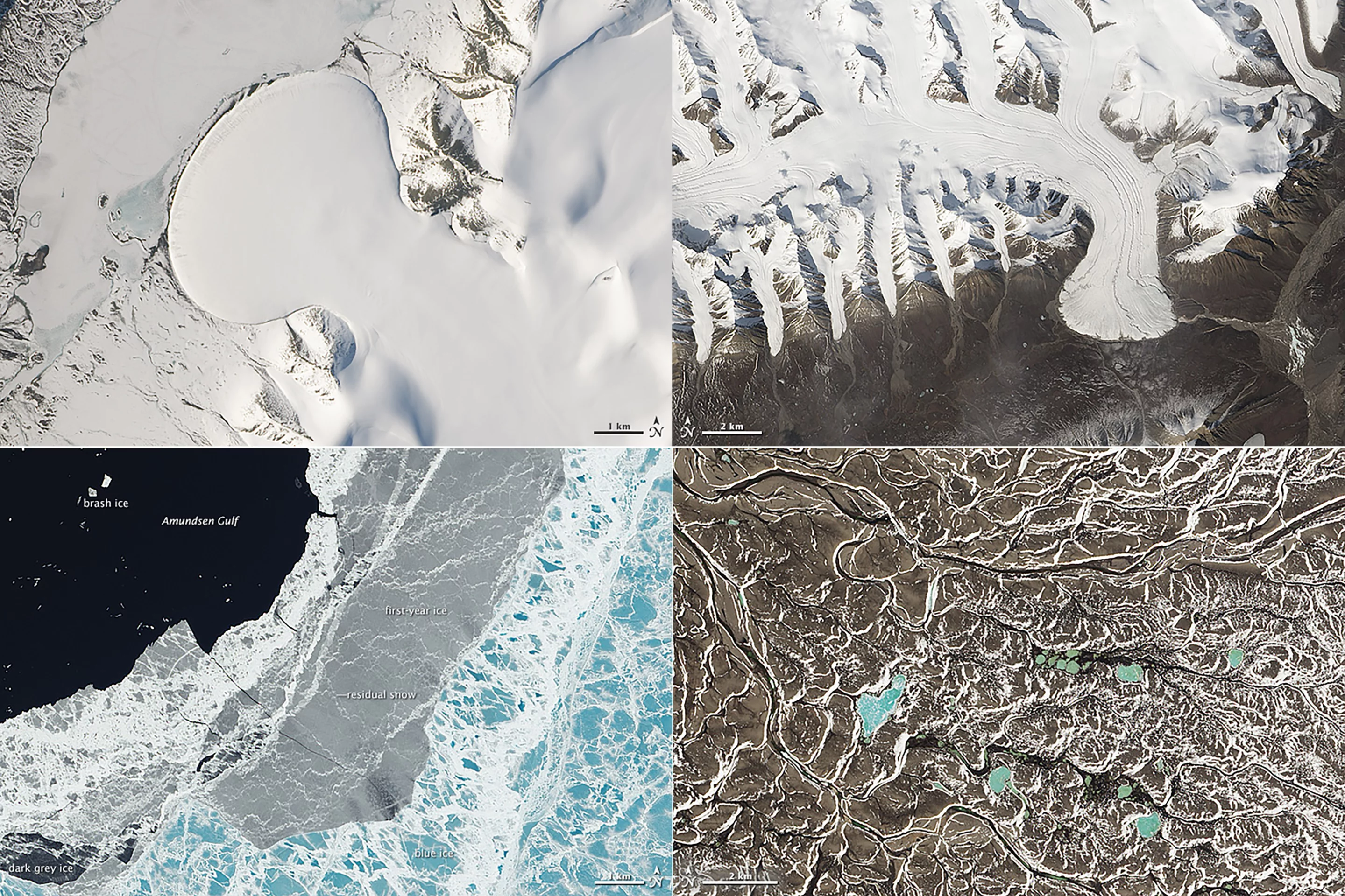 North Greenland’s Elephant Foot Glacier (top left), Canada’s Ellesmere Island glaciers (top right), the sea ice in the Amundsen Gulf (bottom left) and chains of lakes in the Northwest Territories (bottom right) (Image: NASA Earth Observatory)