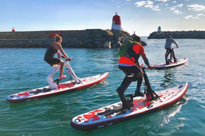 The Enjoy is the most wallet-friendly of the three Red Shark Bike models