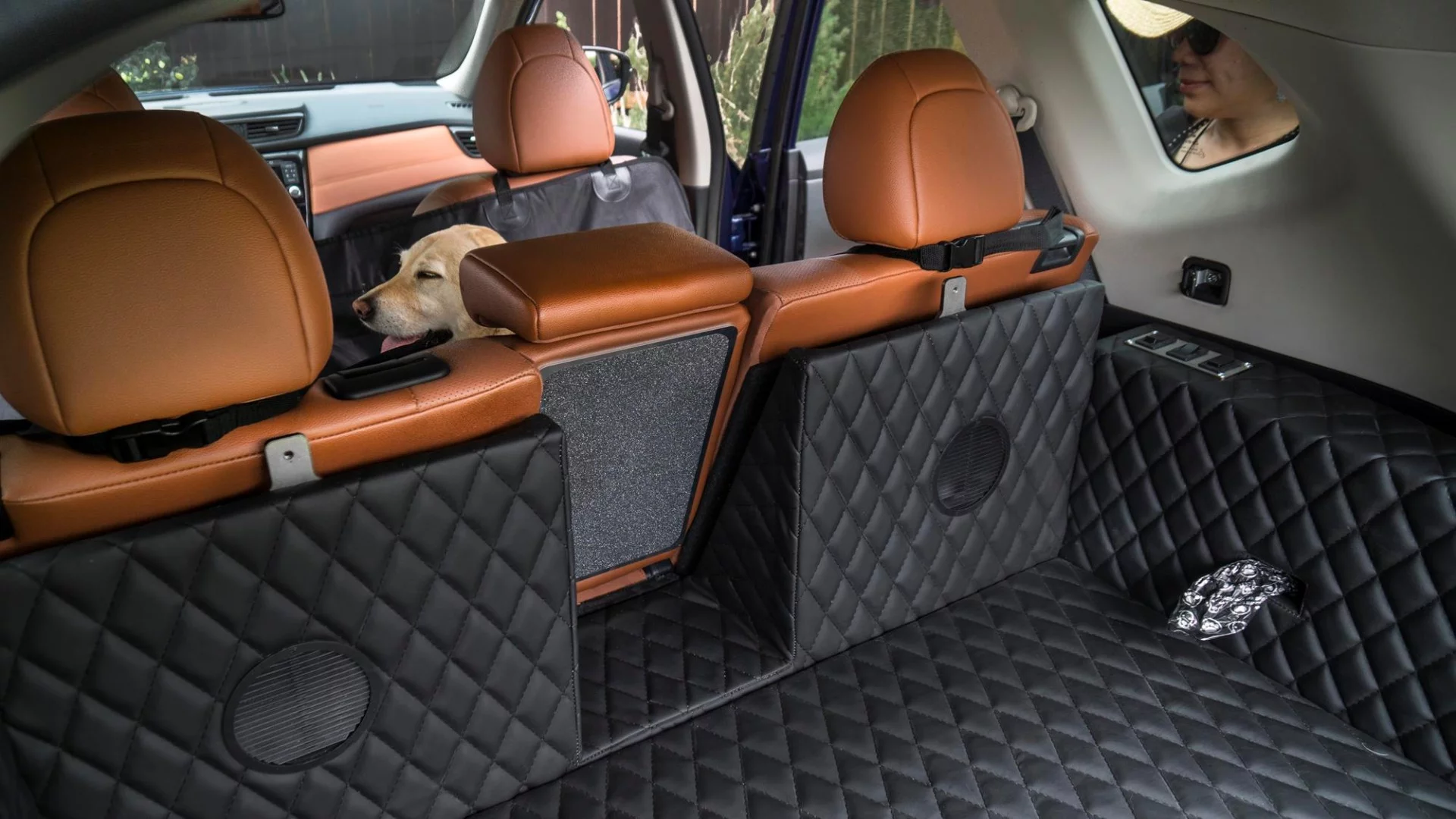 Special lining materials make the cargo area of the Rogue Dogue easier to clean