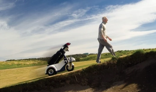 The Shadow Caddy