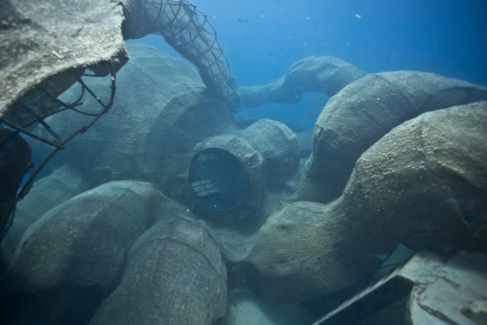 The octopus is already starting to look like a strange organic entity