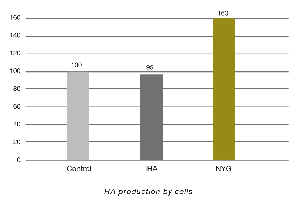Chart showing Hyaluronic Acid production