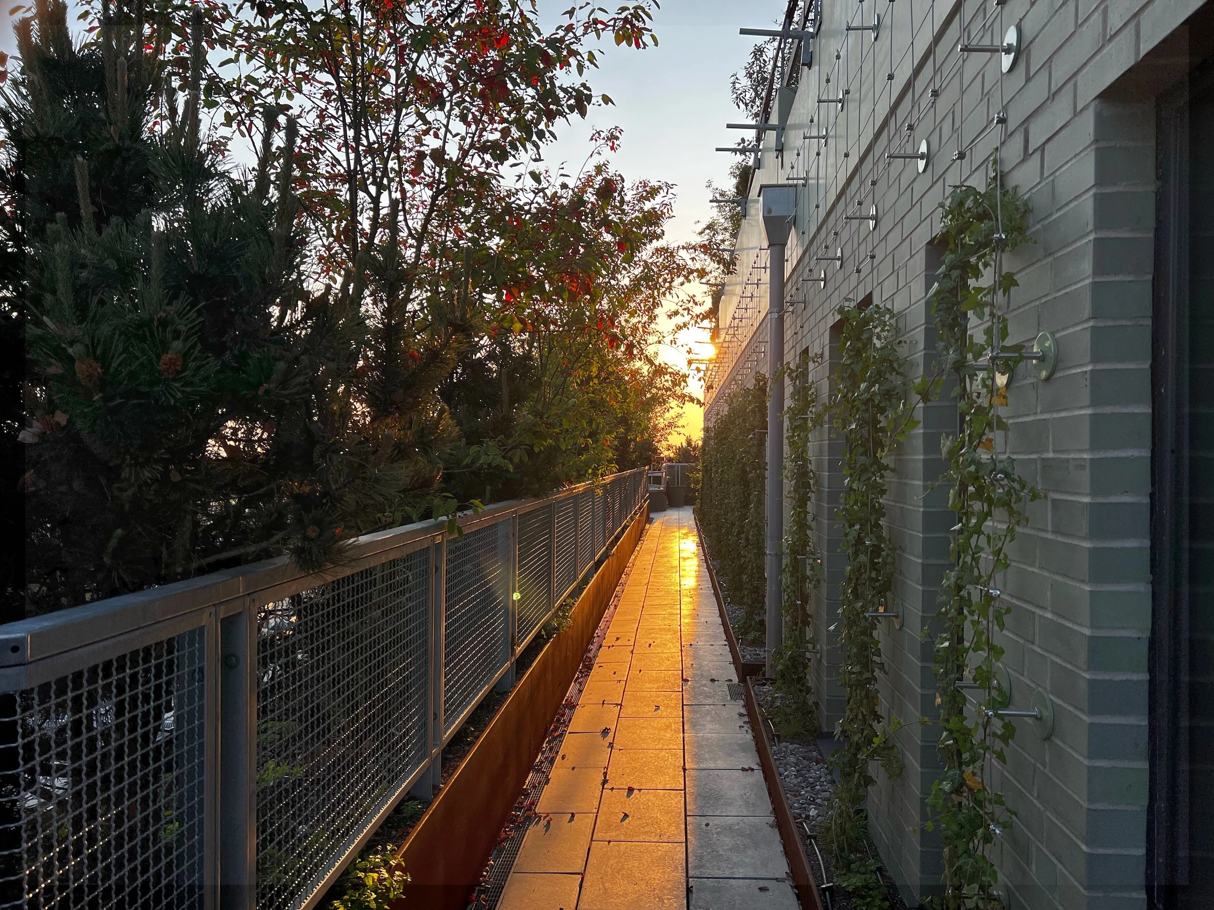 The St. Pauli Bunker includes around 23,000 trees and plants, as well as an irrigation system that manages rainwater