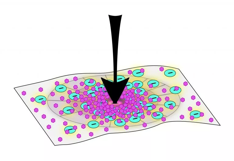 More minerals accumulate on the parts of the surface subjected to greater forces