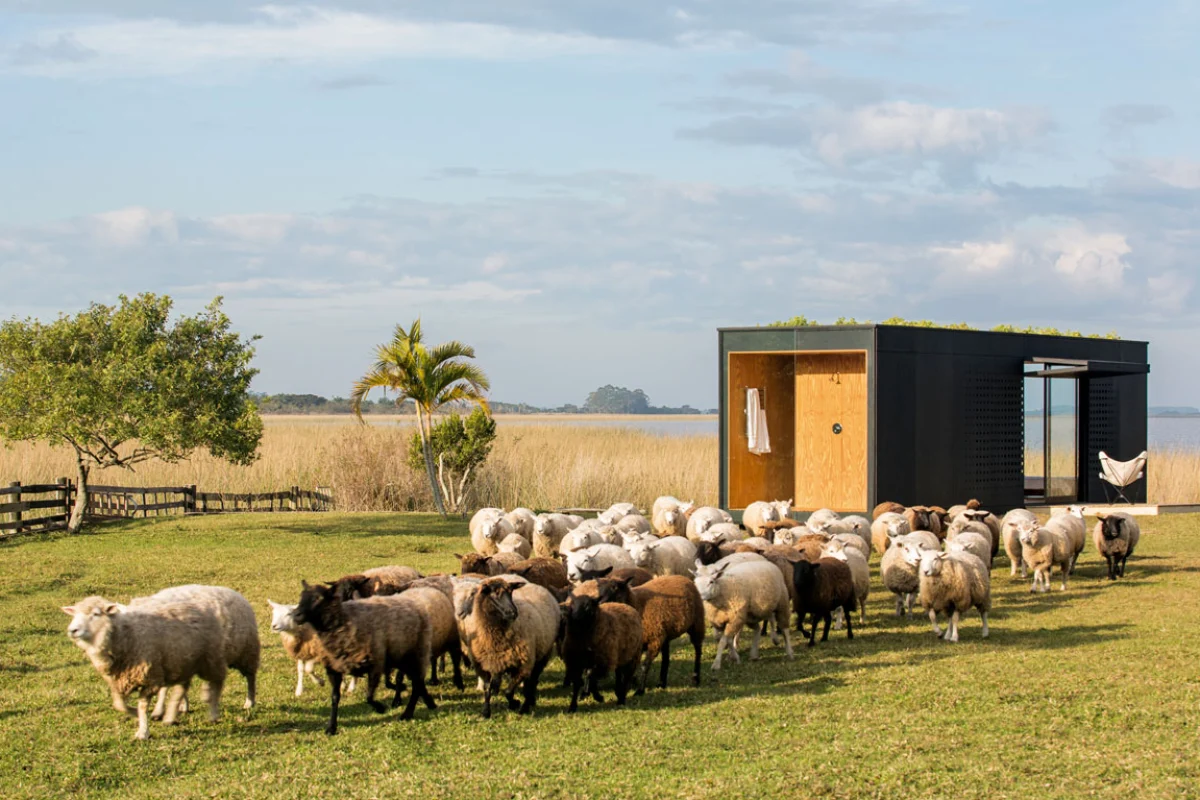 Minimod, by MAPA Architects (Photo: Leonardo Finotti)