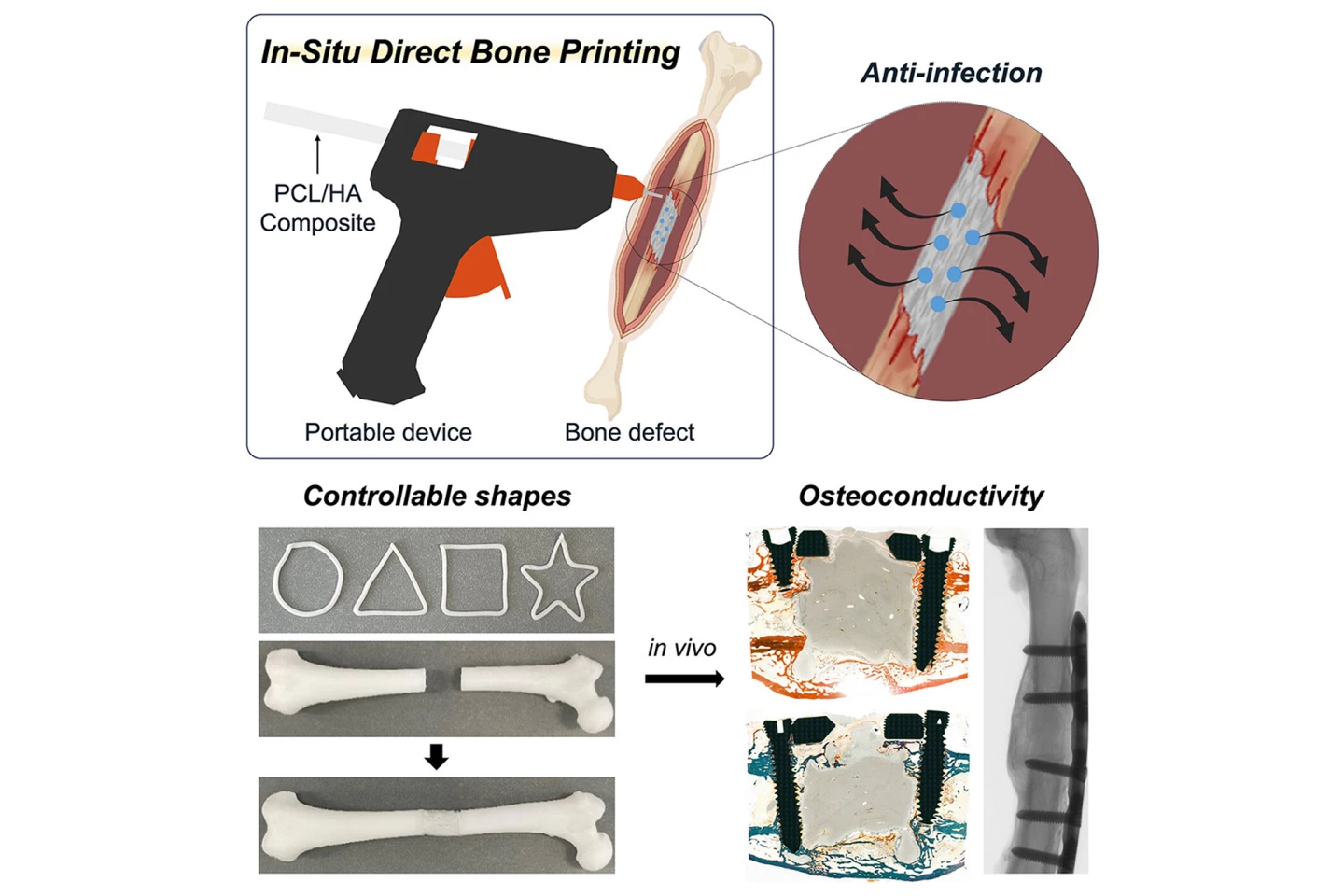 The study's graphical abstract