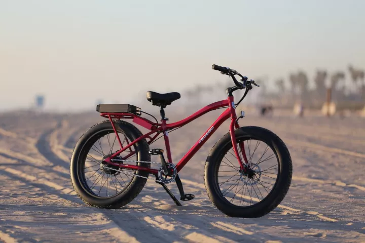 Pedego has released an electric "fatbike" mountain bike, known as the Trail Tracker