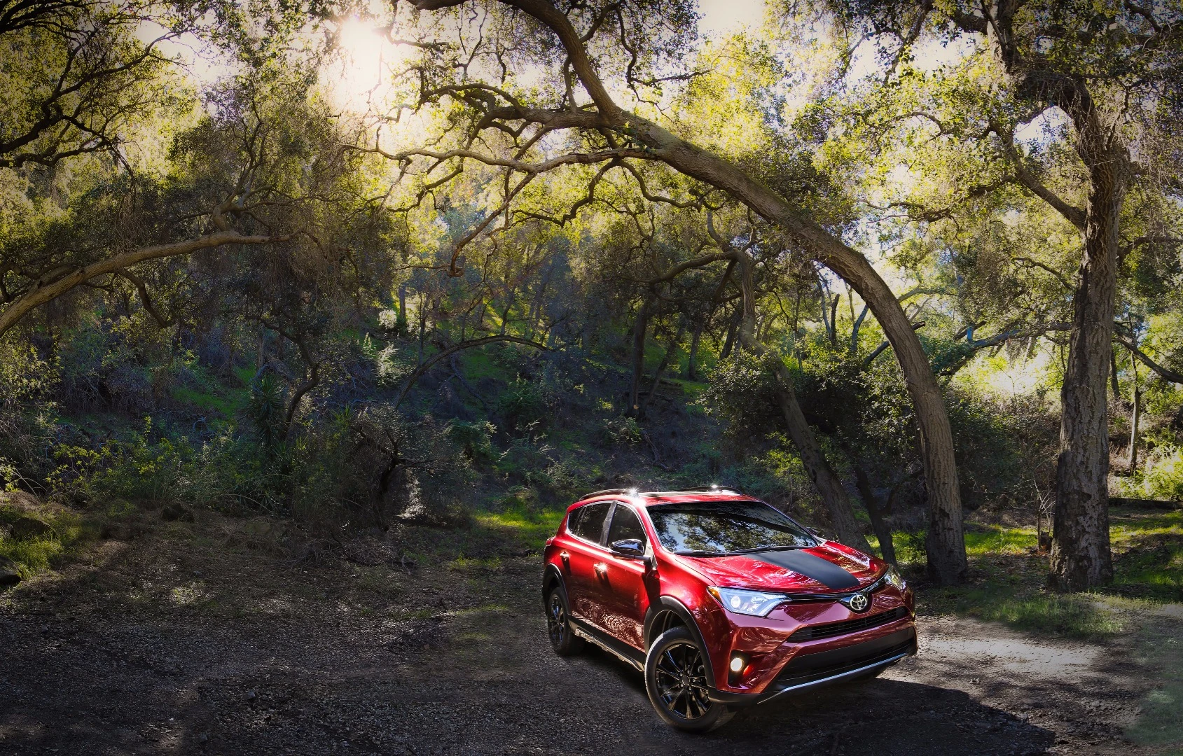 The Adventure looks a little more comfortable in woodsy surroundings than the typical RAV4