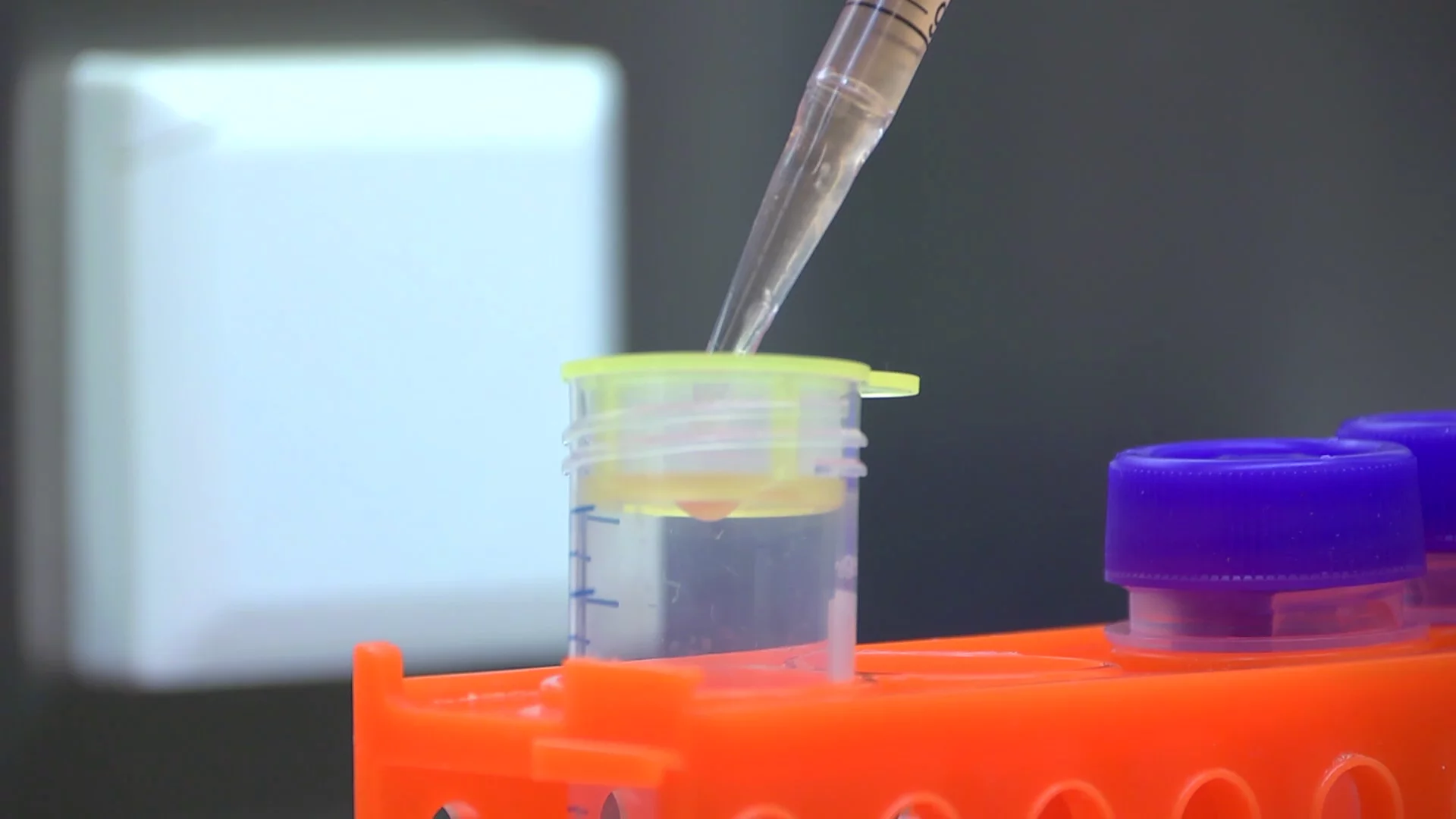 Beef cells being filtered