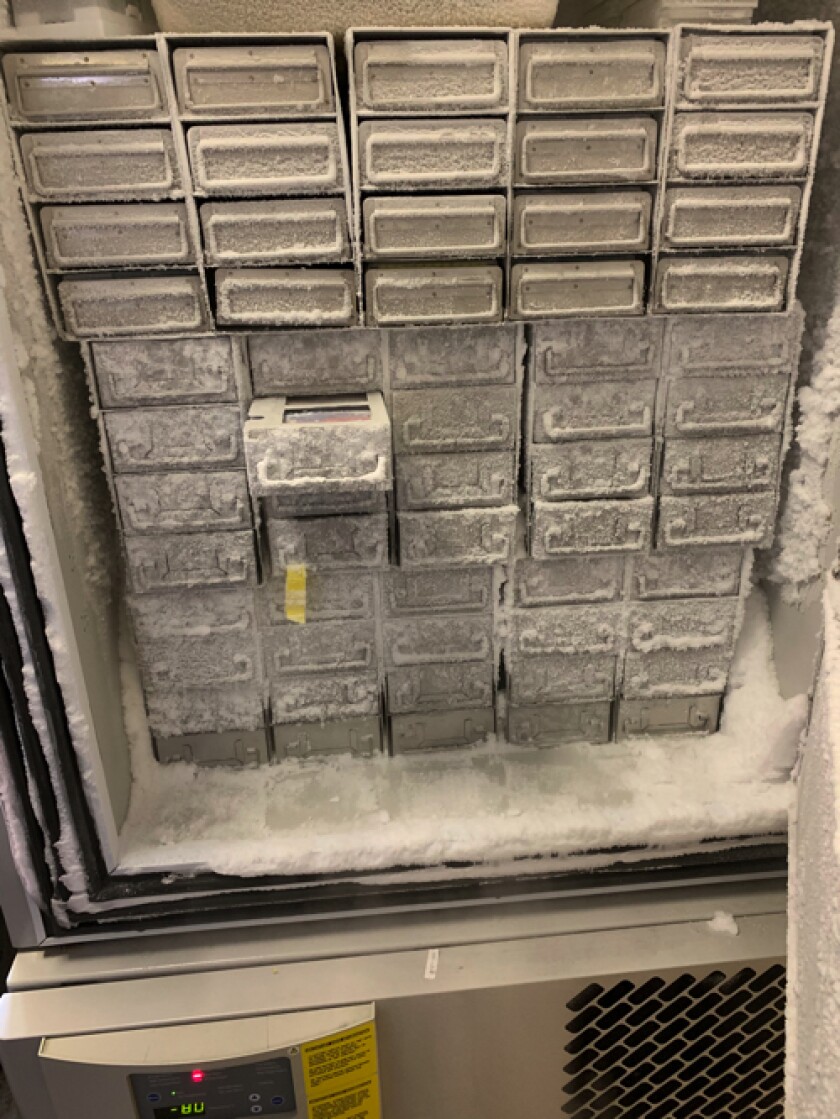 15,000 individual phage samples stored in freezers