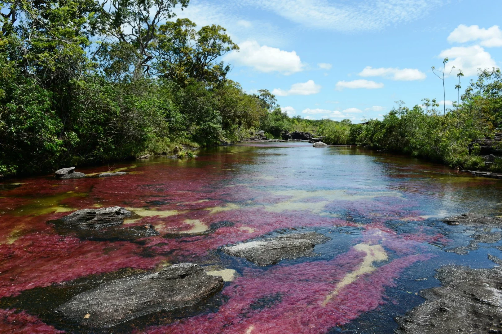 Nicknamed the “Liquid Rainbow” and the “River of Five Colors” it’s hard to argue that Caño Cristales isn’t the most beautiful river in the world