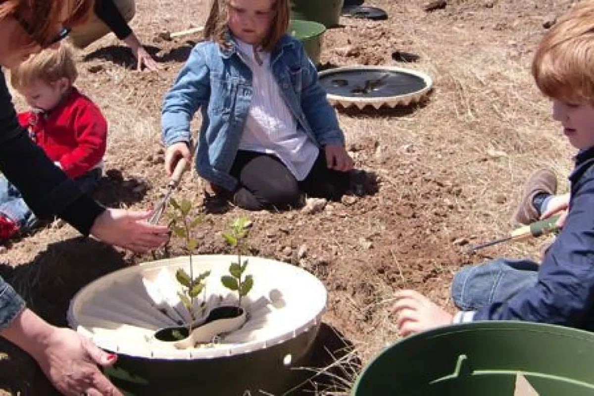 The Groasis Waterboxx is a low-tech device that helps saplings grow into trees in inhospitable environments