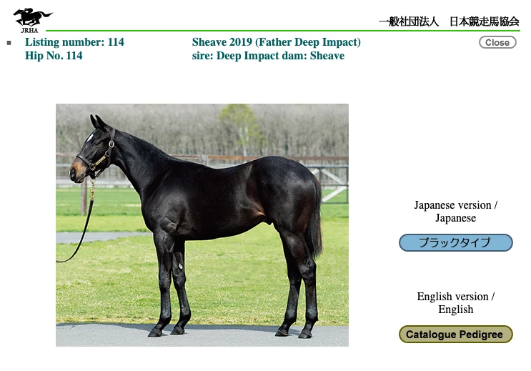 This Unnamed Yearling Colt (Lot 114) at the JRHA Select Yearling Sale on July 13, 2020 sold for JPY510,000,000