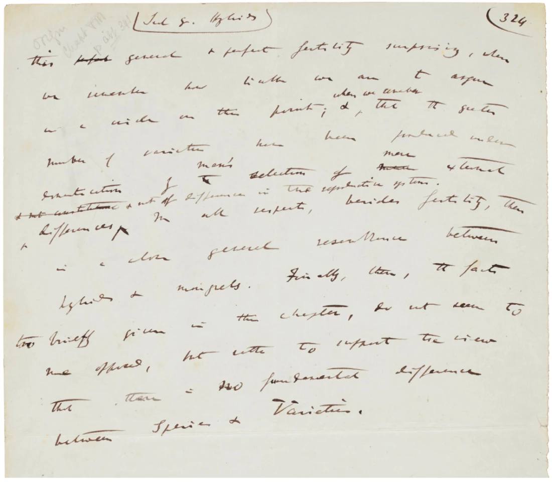 $647,769 | Autograph manuscript leaf from 'Origin of the Species' by Charles Darwin | Auction House: Sotheby's | Sale price: £490,000 | Official Estimate: £120,000 to £180,000 | Date of sale: July 9, 2018