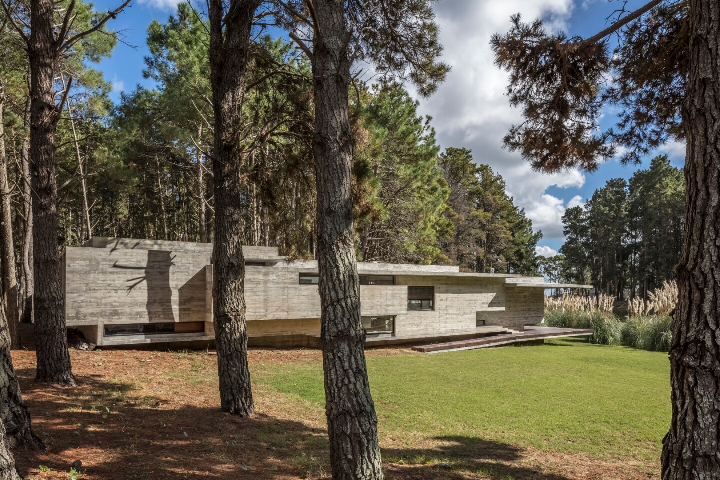 Recently completed by local architecture firm Besonias Almeida, the Forest House is set on Argentina's Costa Esmeralda