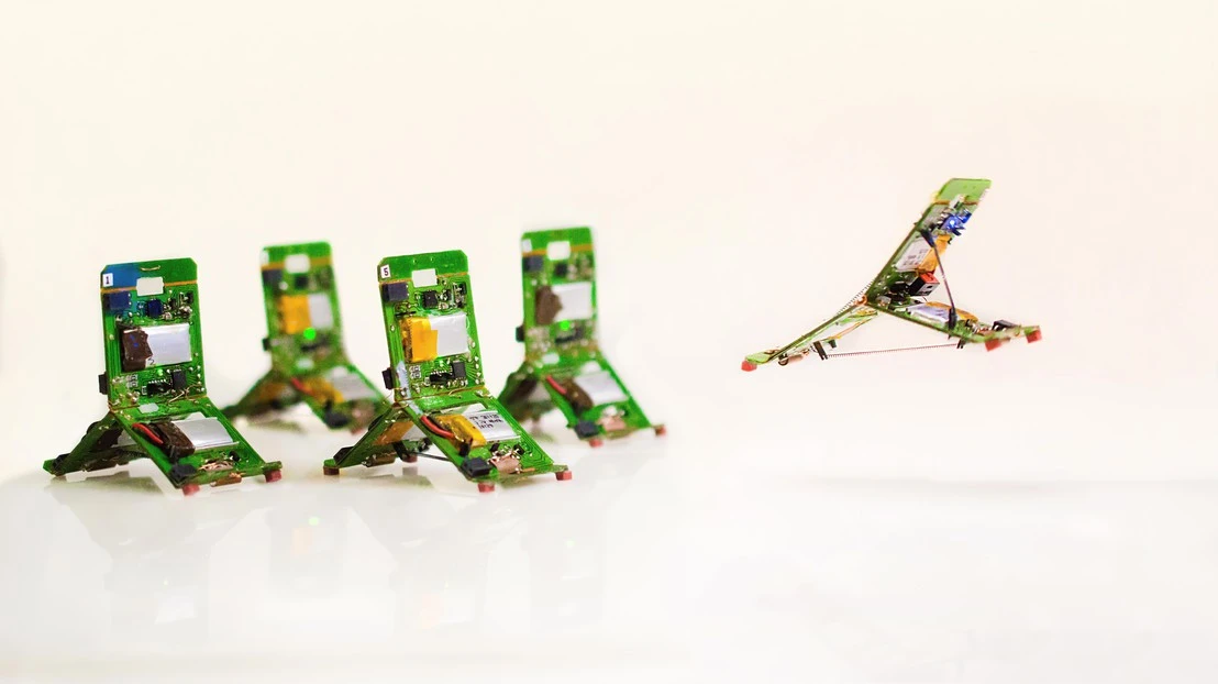 The Tribots can be assigned specific roles similar to ants