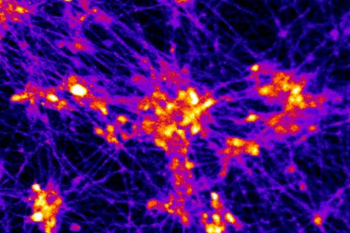 The stem cell-derived neurons were found to grow and form connections on the micro-scaffold, exhibiting firing activity (seen in yellow) in response to an electrical current