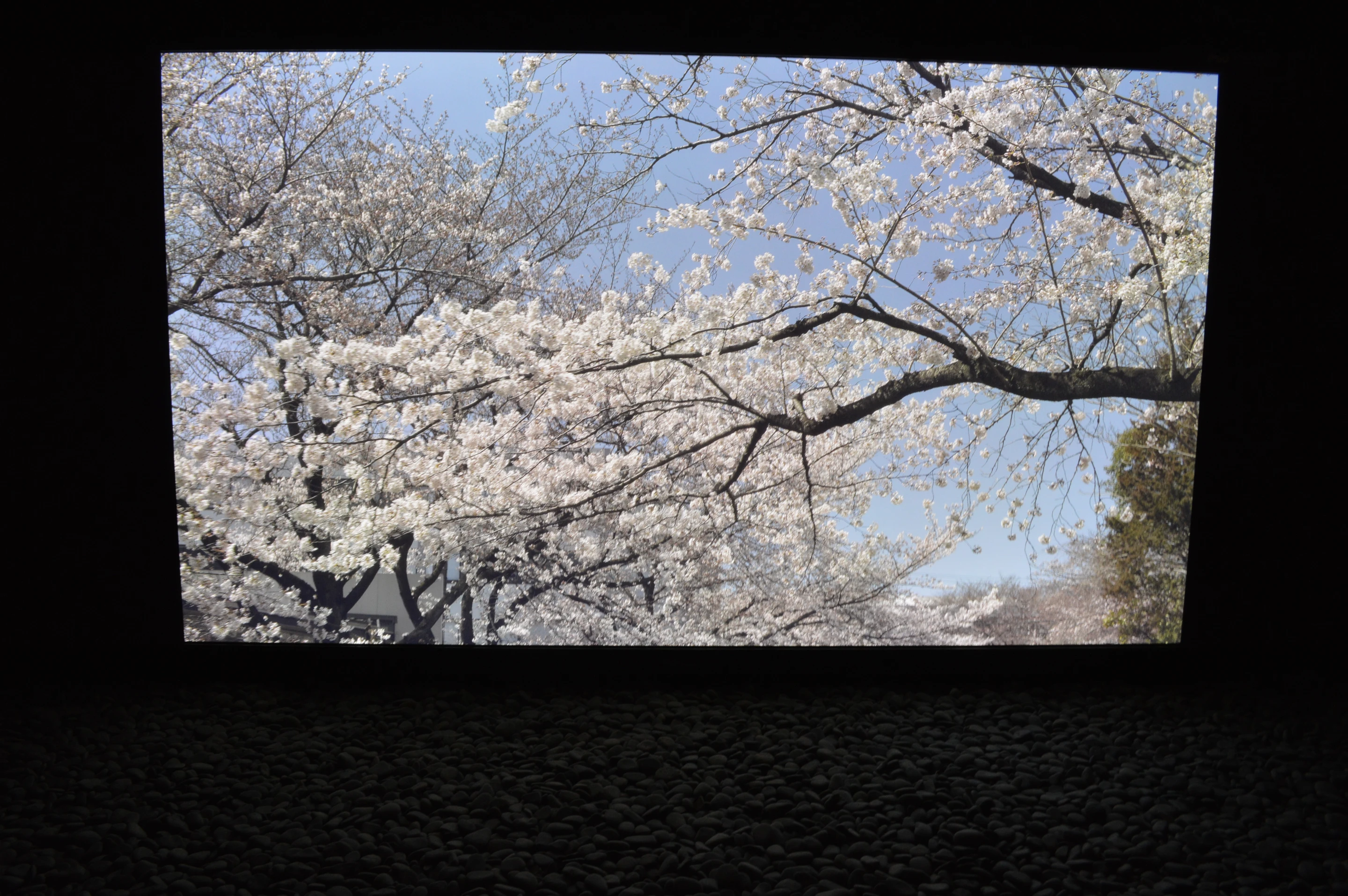 First seeing light of day back in April, this collaborative effort from Panasonic and Japanese national broadcaster NHK has a resolution of 7680 x 4320