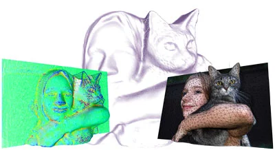 The depth map used to create the 3D sculpture