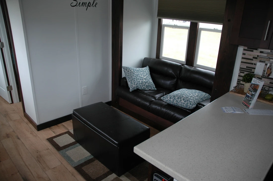 The lounge area with couch that pulls out into a bed