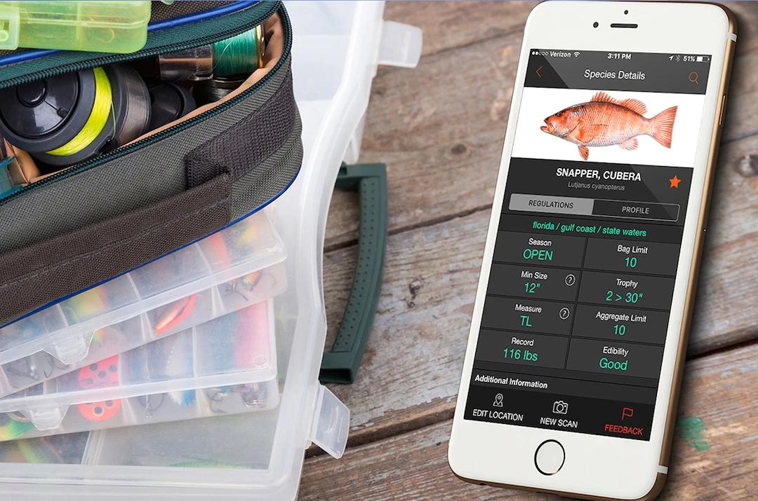 FishVerify aims to promote responsible fishing practices