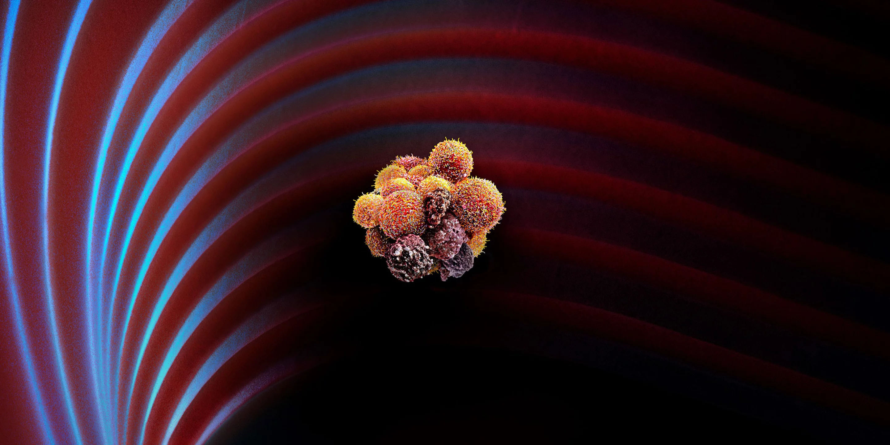 A new treatment could dissolve circulating cancer cells and prevent their spread