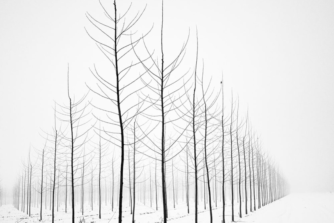 Aesthetic Minimalist Landscape Drawing - Largest Wallpaper Portal