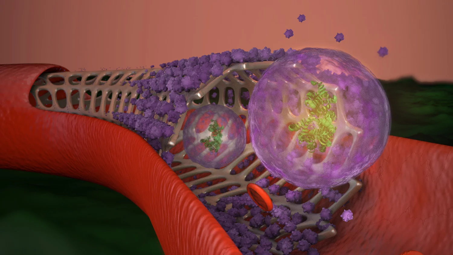 An artist's impression of the new exosome-eluding stent, which can promote healing while preventing inflammatory responses