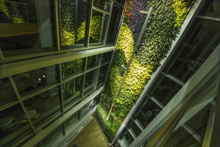 Green Over Grey says it has created the world's largest interior living wall