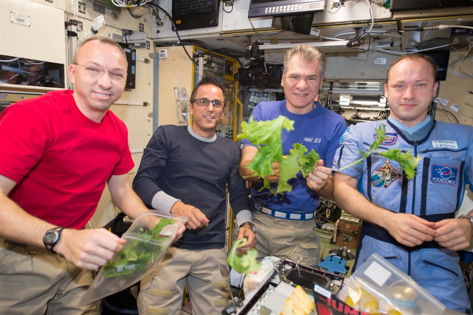 ESA astronauts prepare lettuce grown in space, in a separate experiment