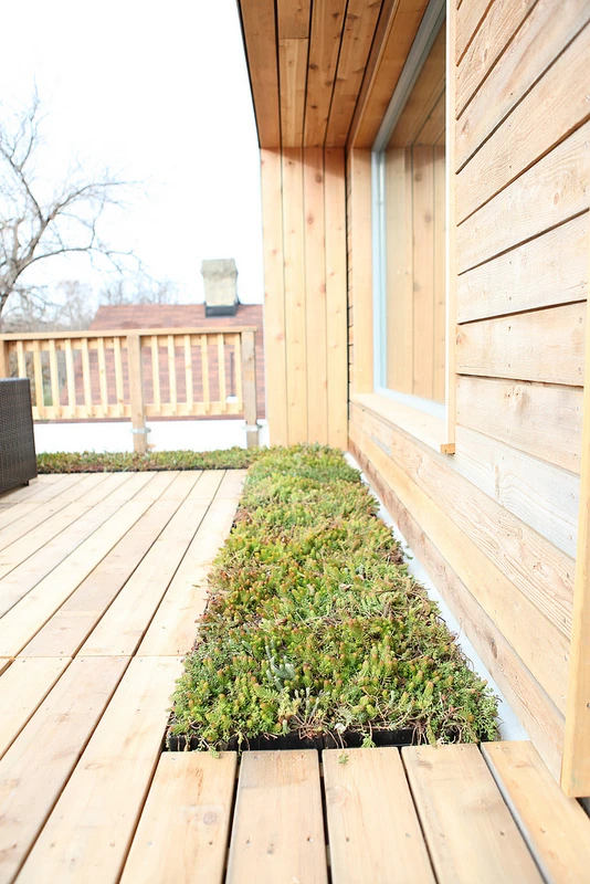 Outdoor space was important to Lakiya Culley and her family (Photo: Sarah Gerrity, US Dept of Energy)