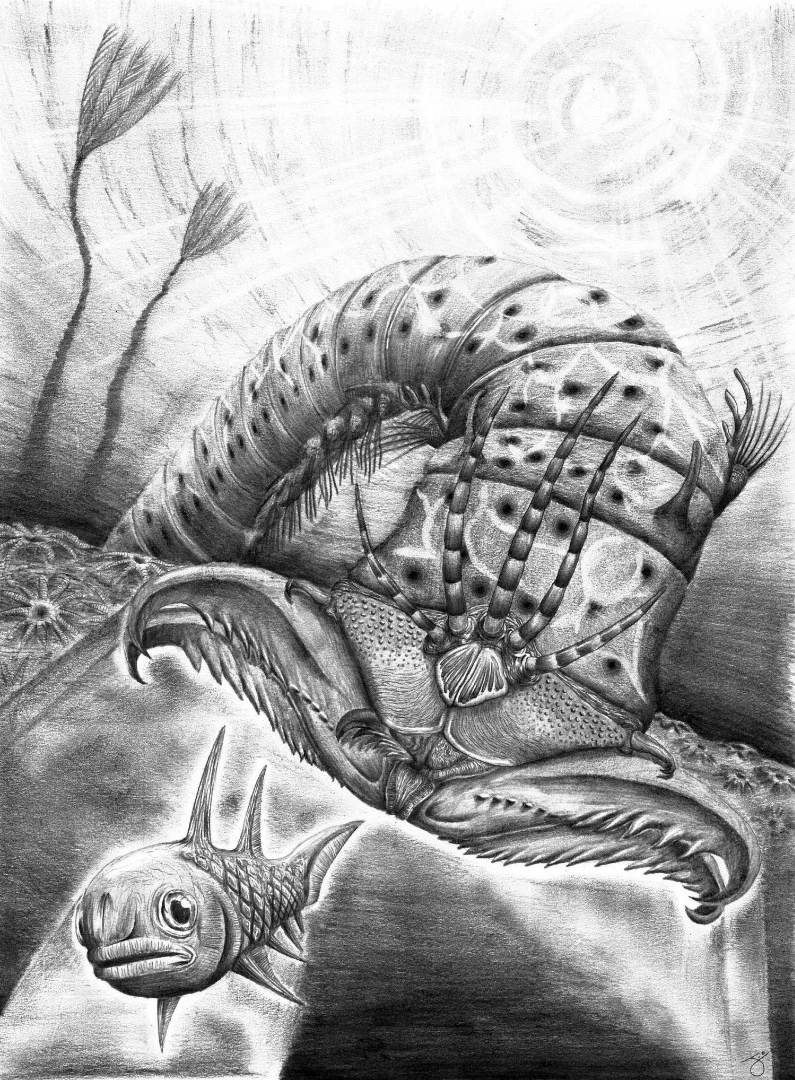 An artist's impression of W. armstrongi attacking a fish