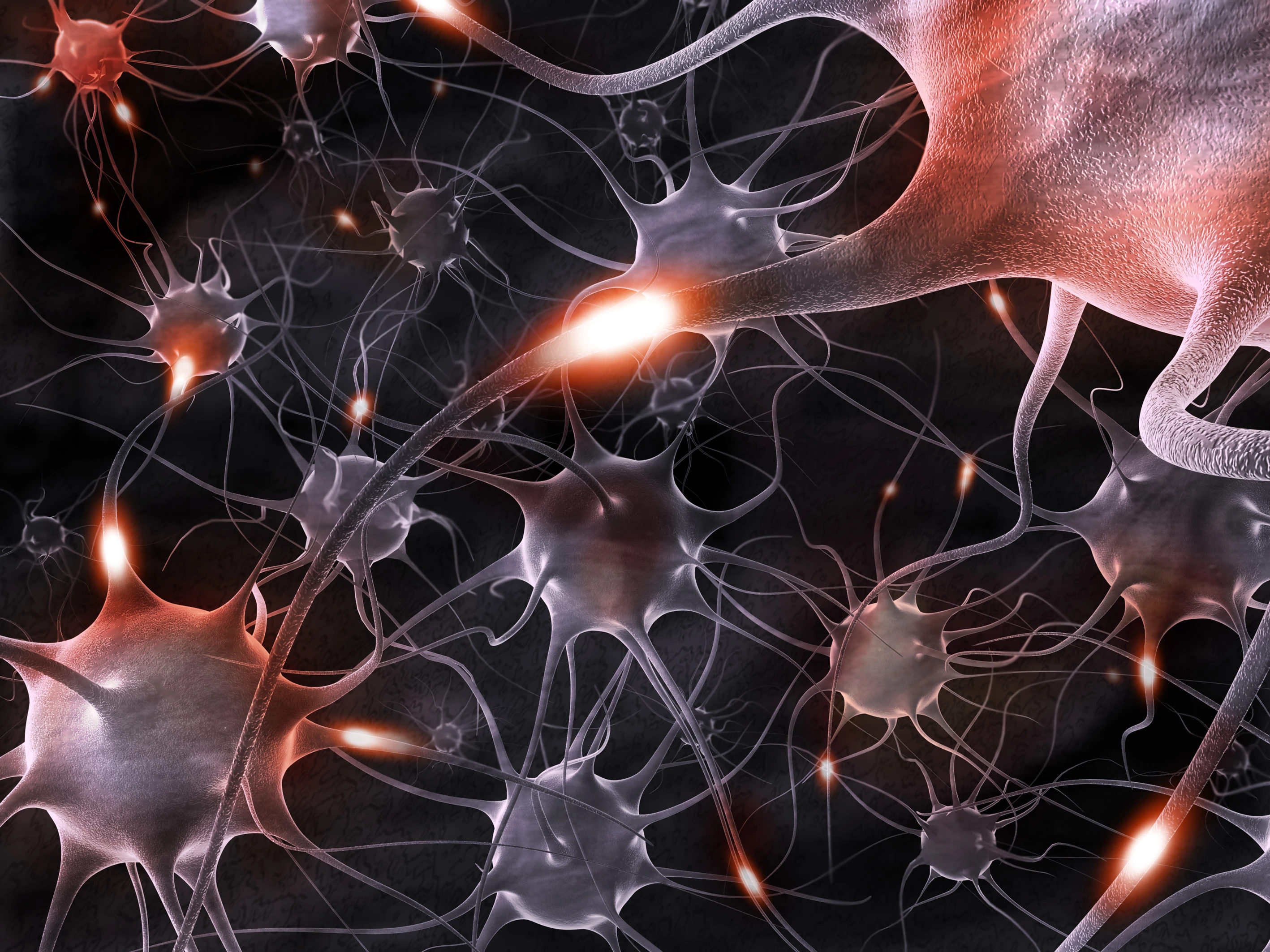 A study has found all variants of the SARS-CoV-2 virus can travel into the brain and spread from neuron to neuron regardless of how severe the acute disease is
