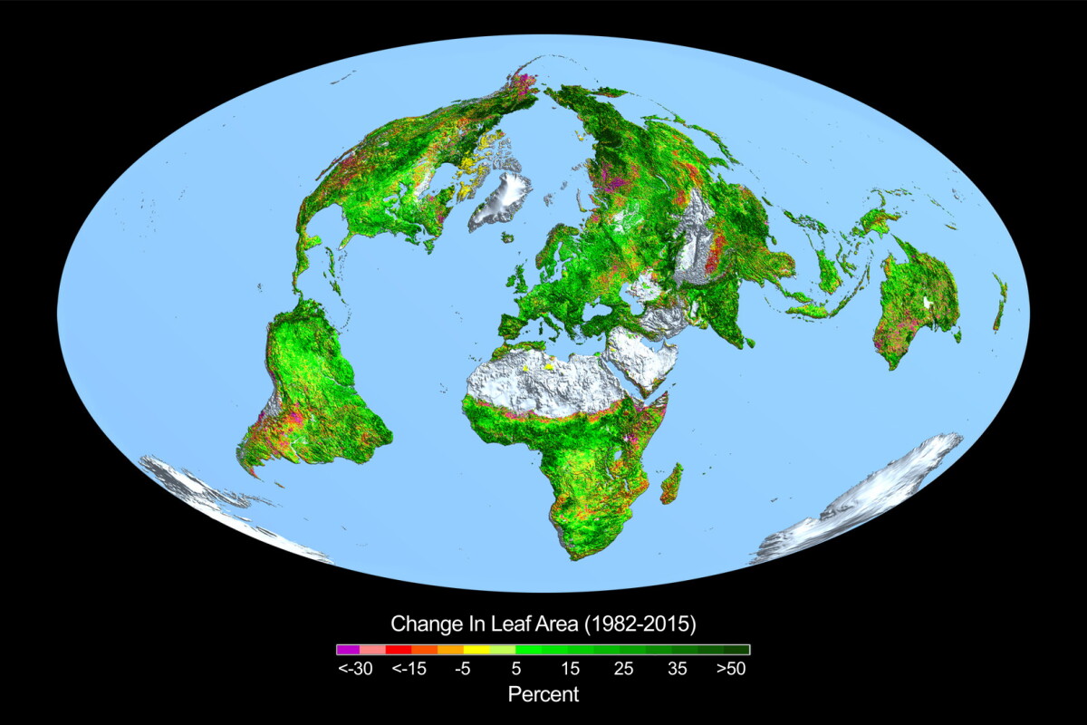 Rising levels of atmospheric carbon dioxide in the atmosphere has meant that large parts of the Earth have shown significant greening over the last 35 years