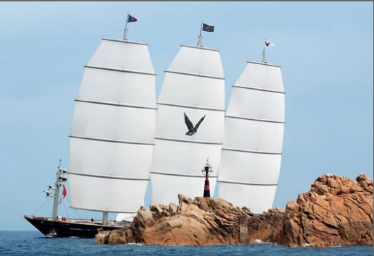The Maltese Falcon